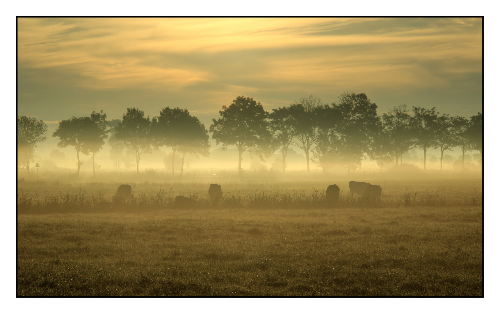 Morgens um 8.00Uhr