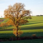 Morgens um 8.10 Uhr auf dem Weg zur Arbeit