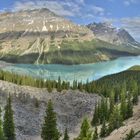 morgens um acht am Lake Peyto, Kanada