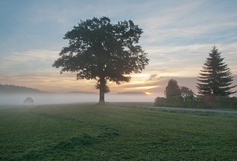 Morgens um halb acht