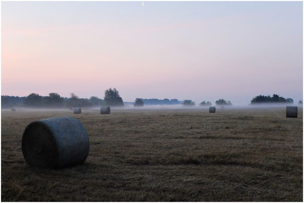 Morgens um halb fünf