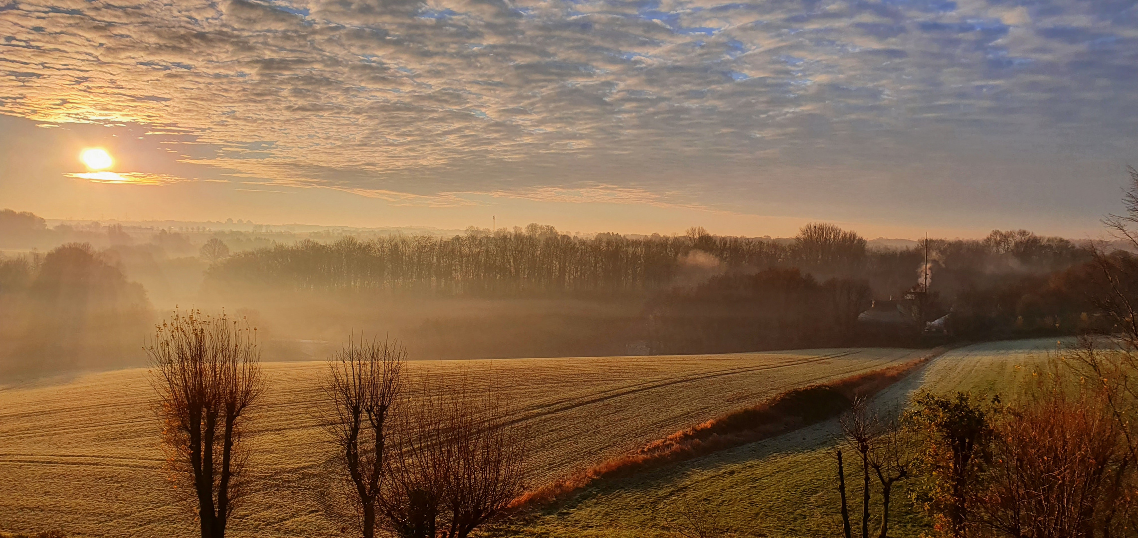 Morgens um halb Neun...