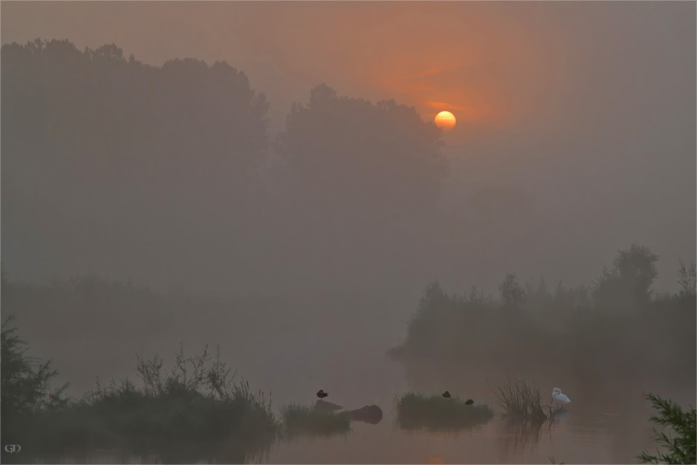 Morgens um halb sieben ist die Welt noch in Ordnung - le matin à 6h30, le monde est en ordre encore