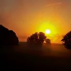 Morgens um halbacht - ein nebliger Sonnenaufgang am Rhein, 2018.09.25