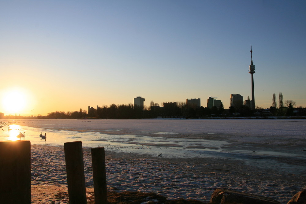 morgens um kurz vor 8 Uhr auf der Alten Donau