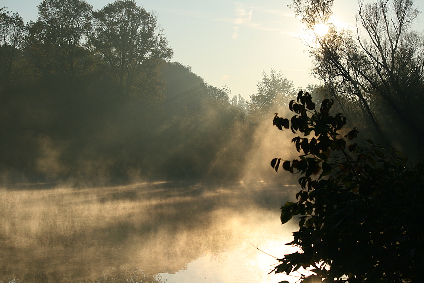 morgens um neun.....