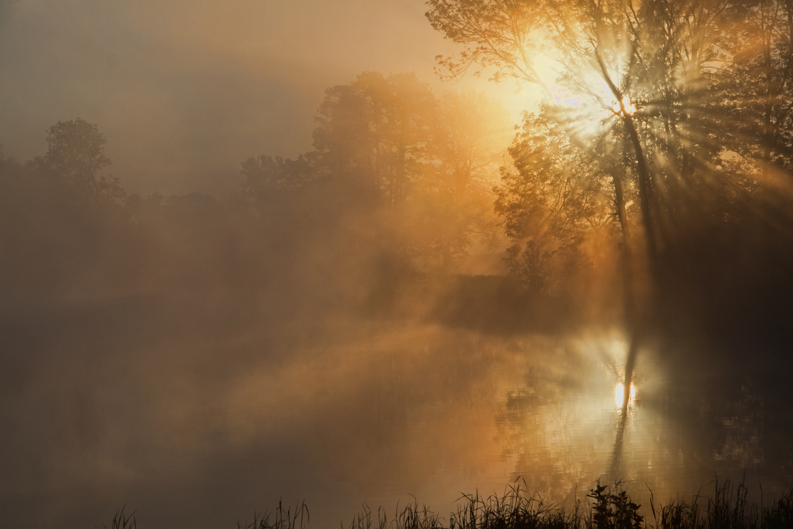 Morgens um sechs am See