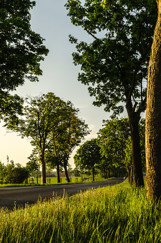 Morgens um sechs in Brandenburg