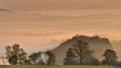 *morgens um sechs in der Vulkaneifel*