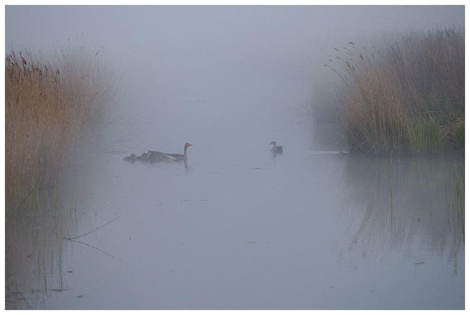 Morgens um sechs in Holland