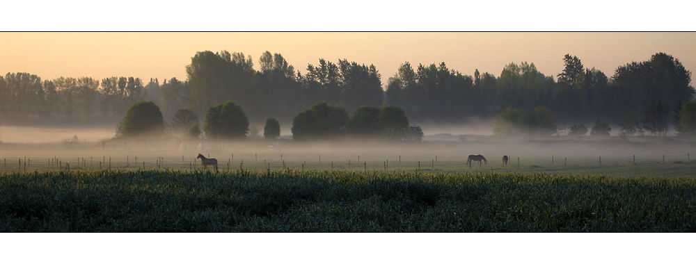 Morgens um Sechs ist die Welt noch in Ordnung...