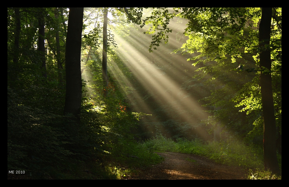 morgens um sieben..