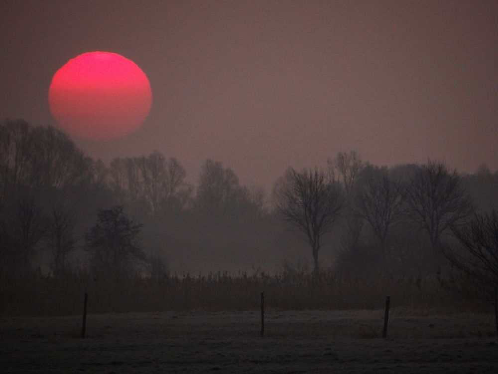 Morgens um sieben