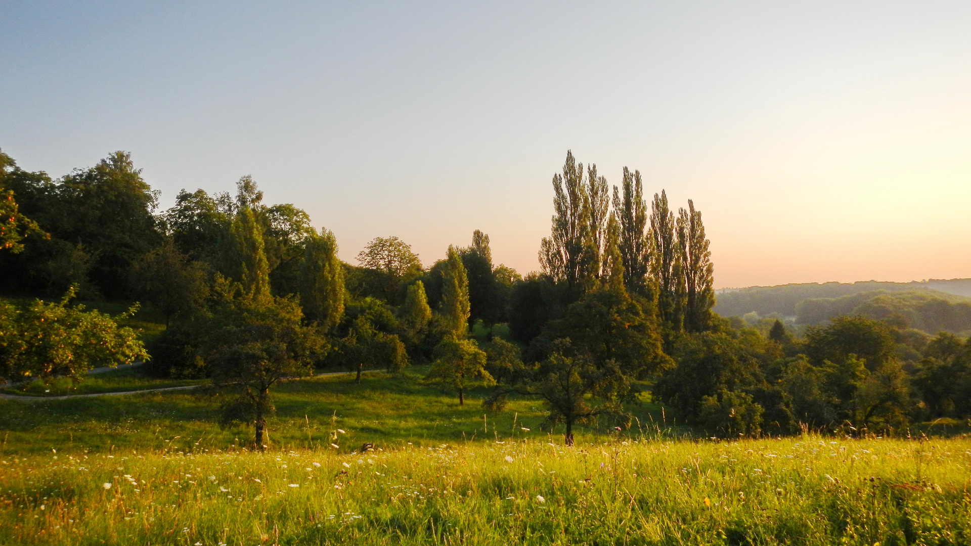 morgens um sieben