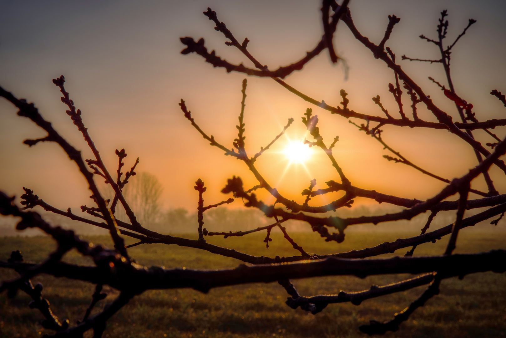 Morgens um sieben...