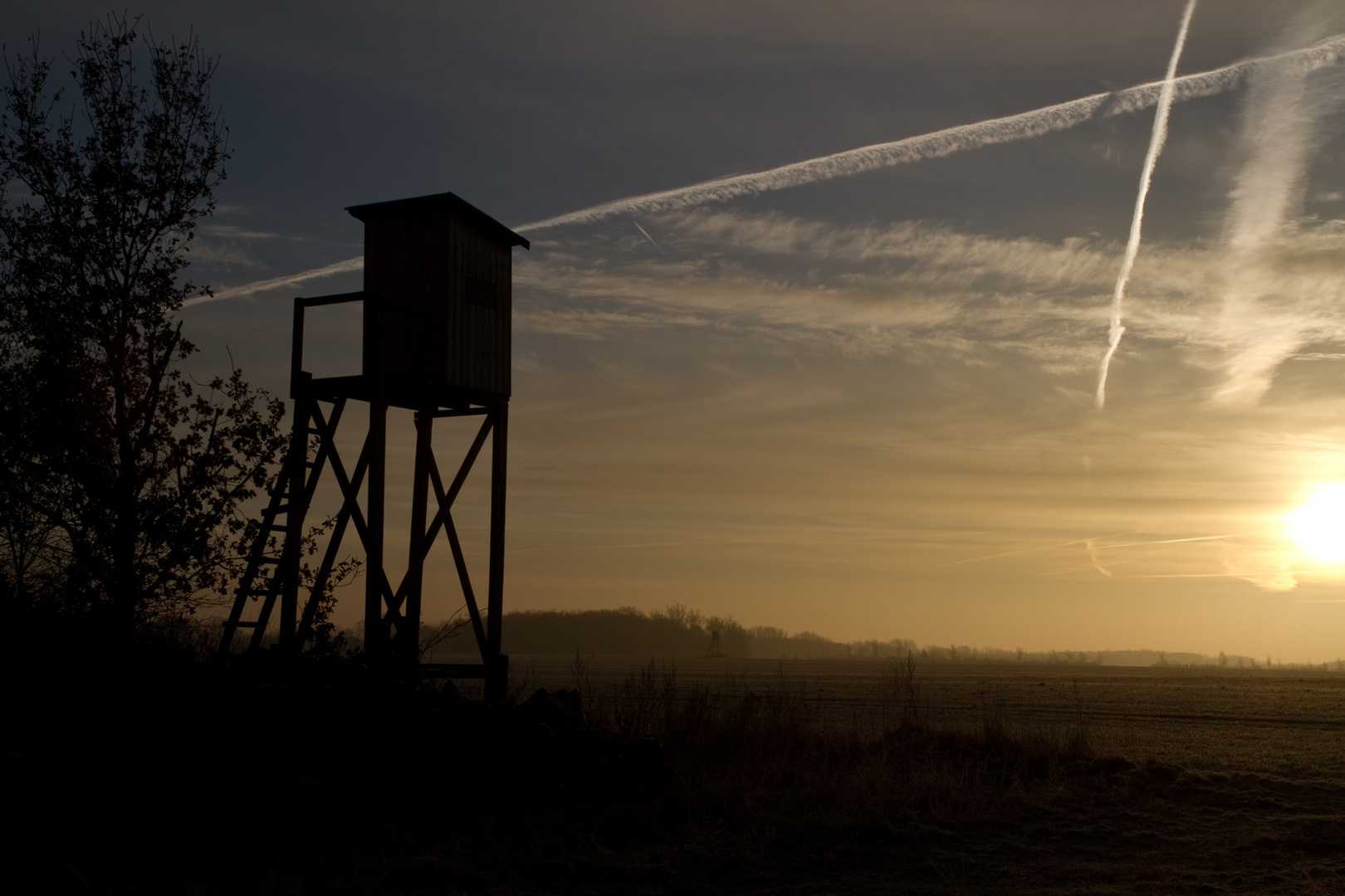 Morgens um sieben