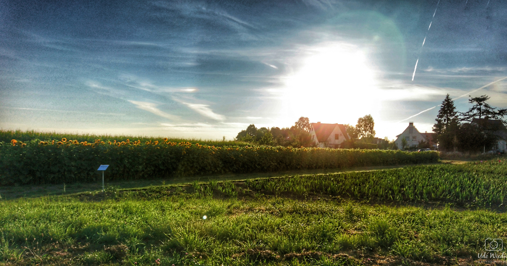 Morgens um sieben in Deutschland...