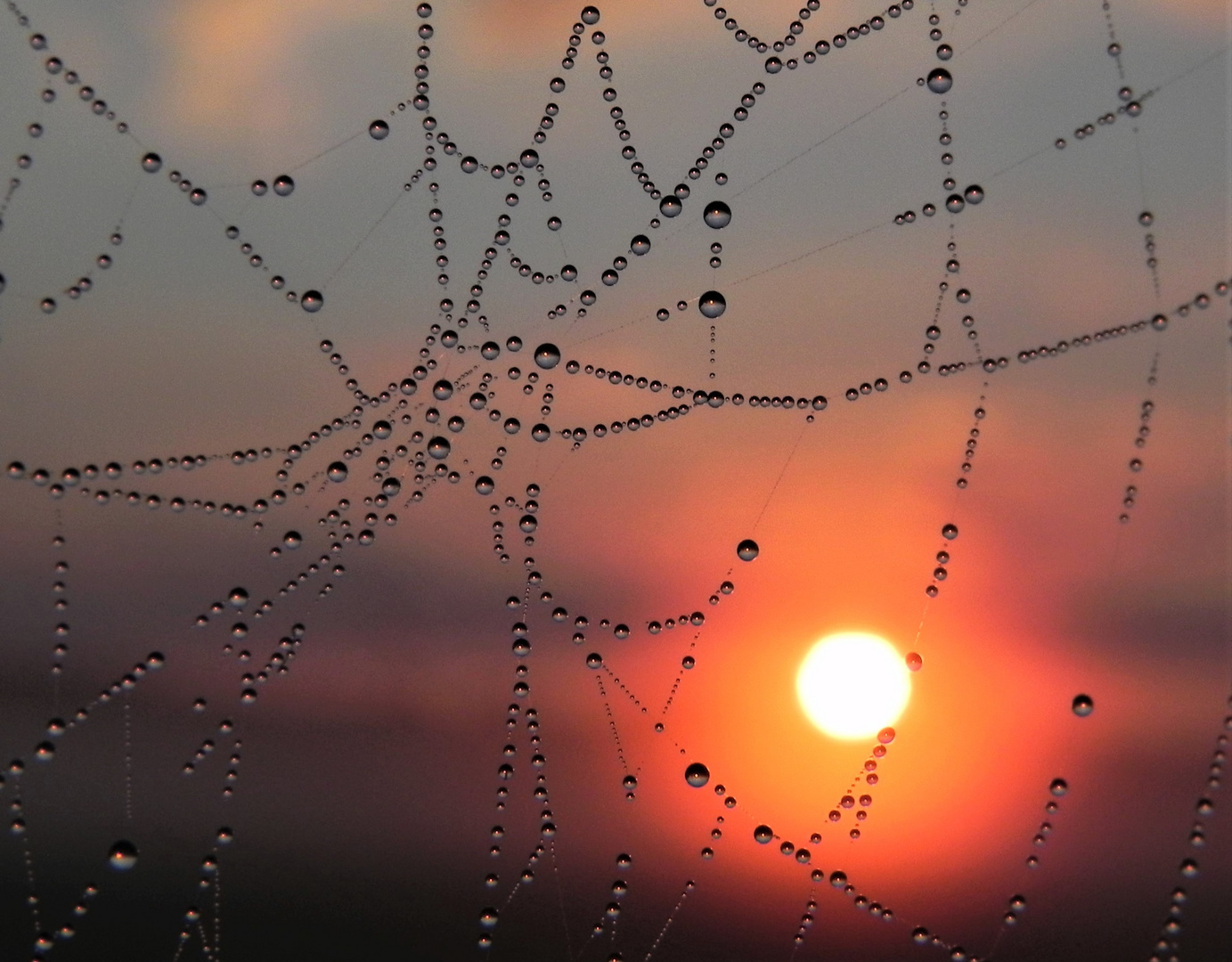 morgens um sieben...(1)