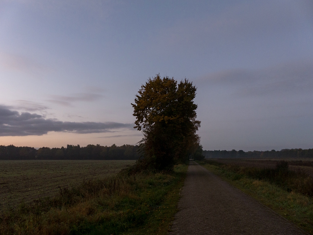 Morgens um viertelvoracht ist die Welt noch in Ordnung