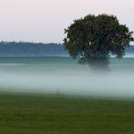 "Morgens vom Ansitz aus"