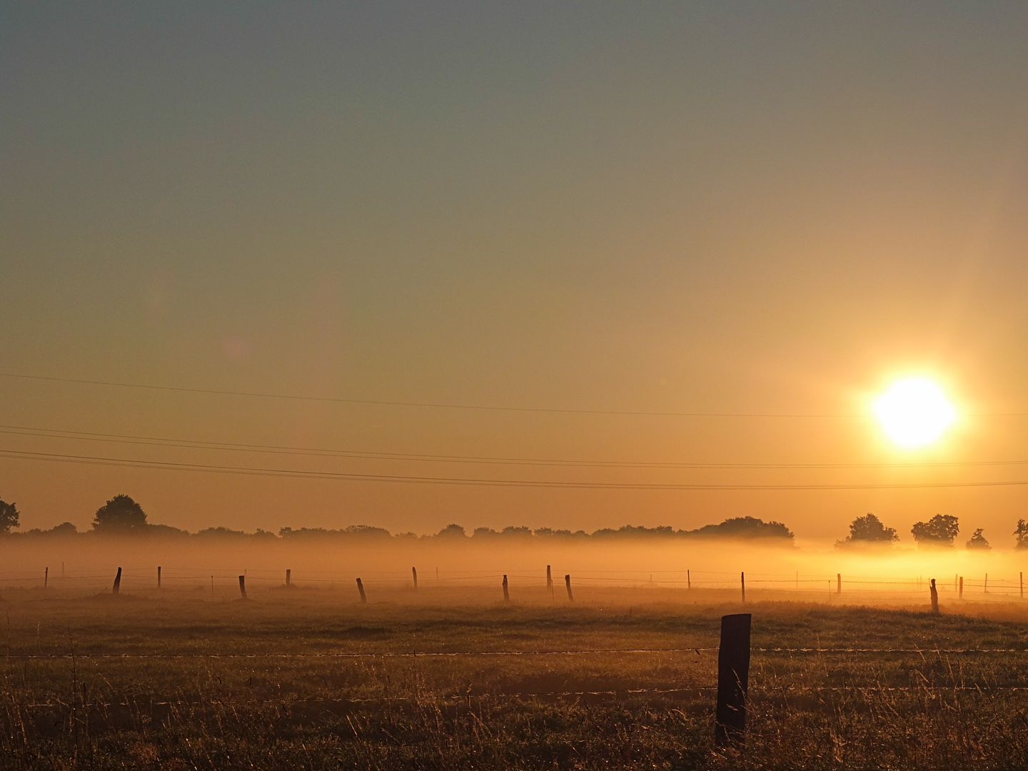 ... morgens vor 7 in Deutschland ...