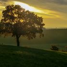 Morgens vor dem aufstehen