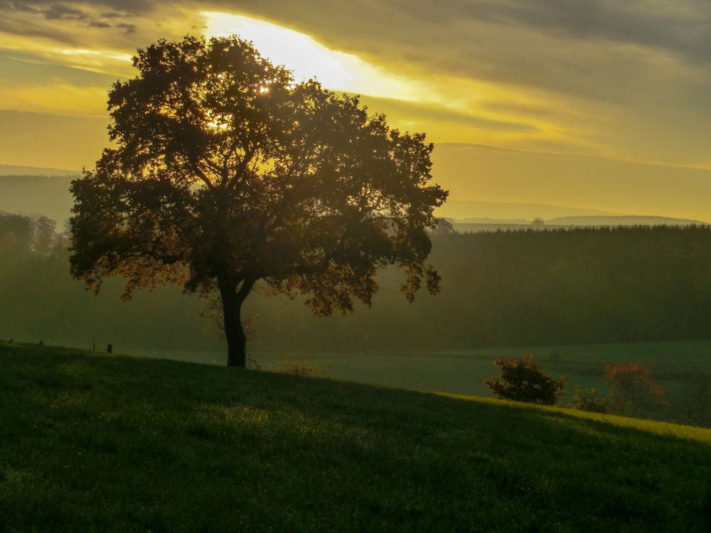 Morgens vor dem aufstehen