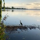 morgens vor dem Aufstehen (Schweriner See)