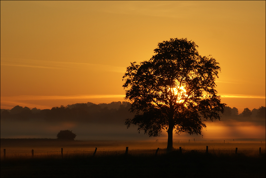 Morgens vor fünf ...(II)