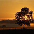 Morgens vor fünf ...(II)