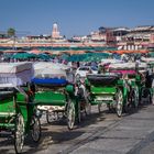 Morgens warten sie alle ... - Marrakesch/Marokko