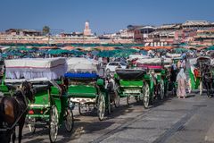 Morgens warten sie alle ... - Marrakesch/Marokko