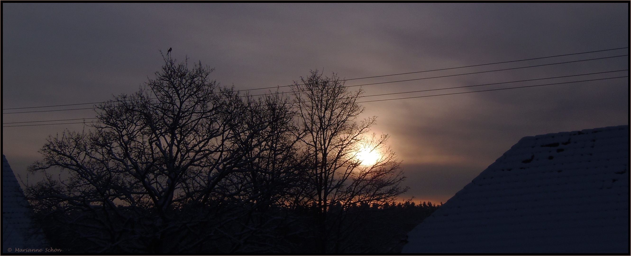 Morgens wenn die Sonne erwacht...