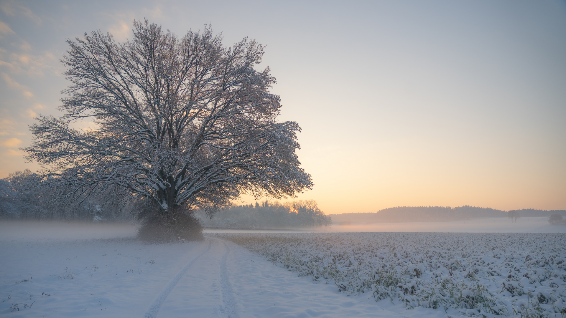 Morgens Winterlicht