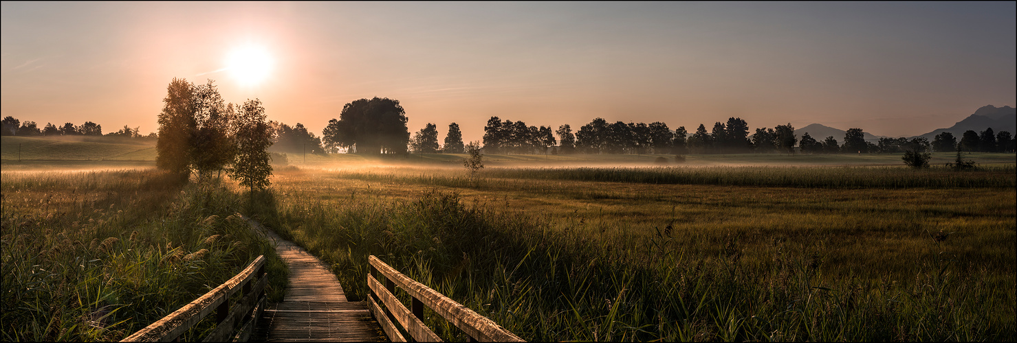 Morgens wird es schon herbstlich... als Panorama