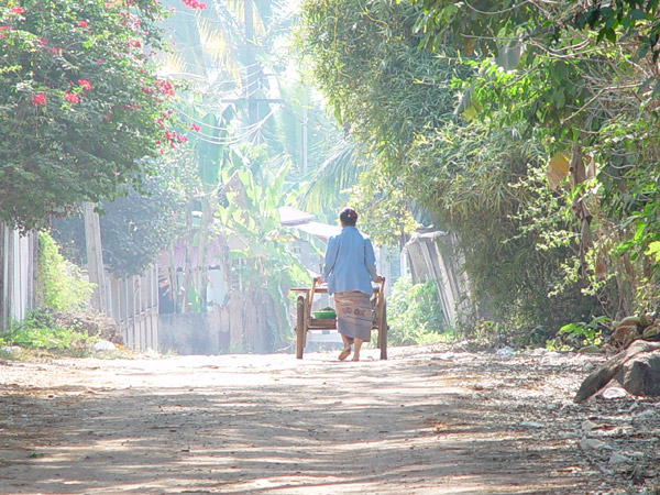 Morgens zum Markt - Vientiane; Laos