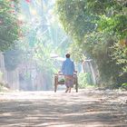 Morgens zum Markt - Vientiane; Laos