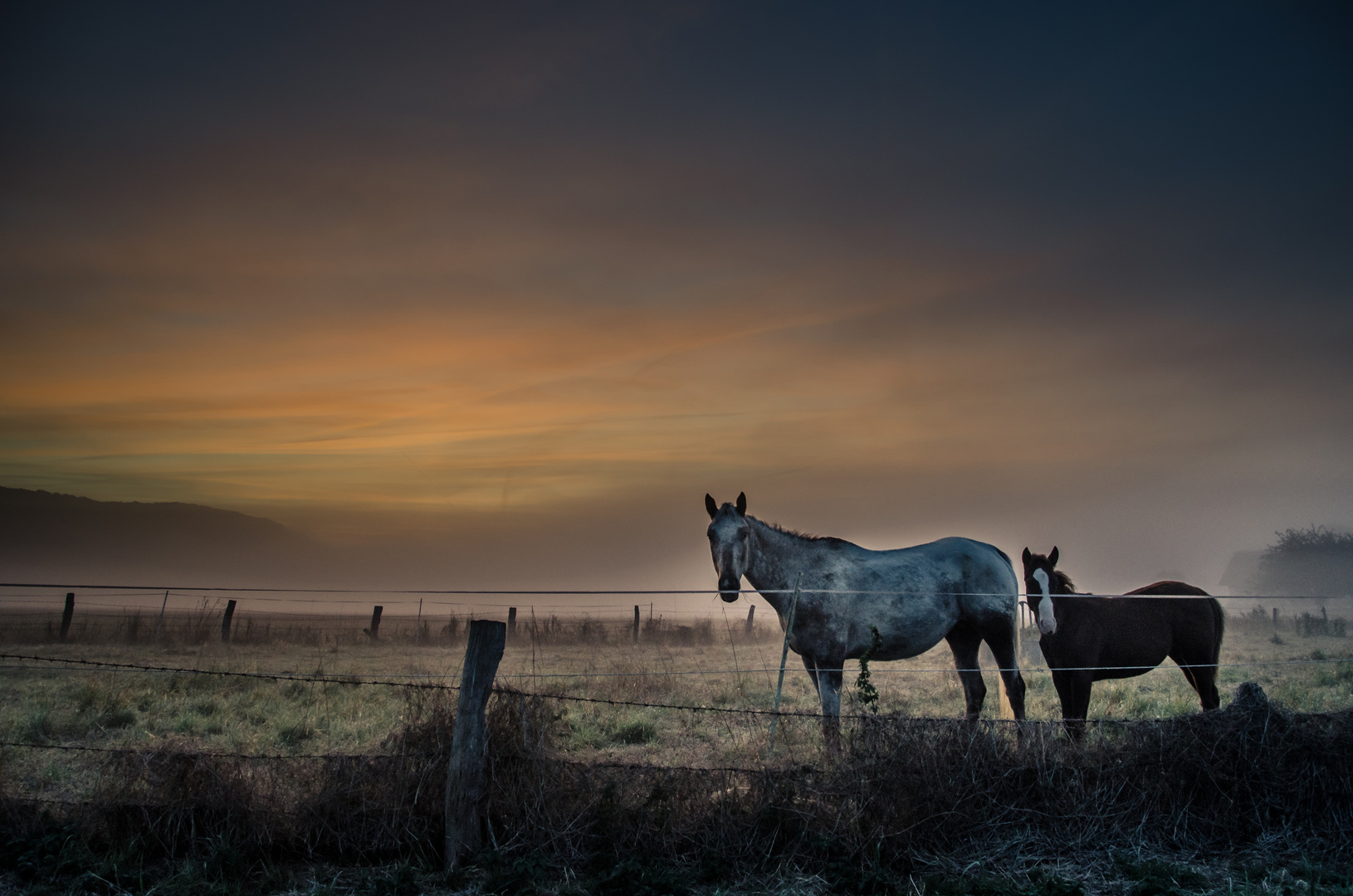 Morgens zw. Weser und Wiehengebirge