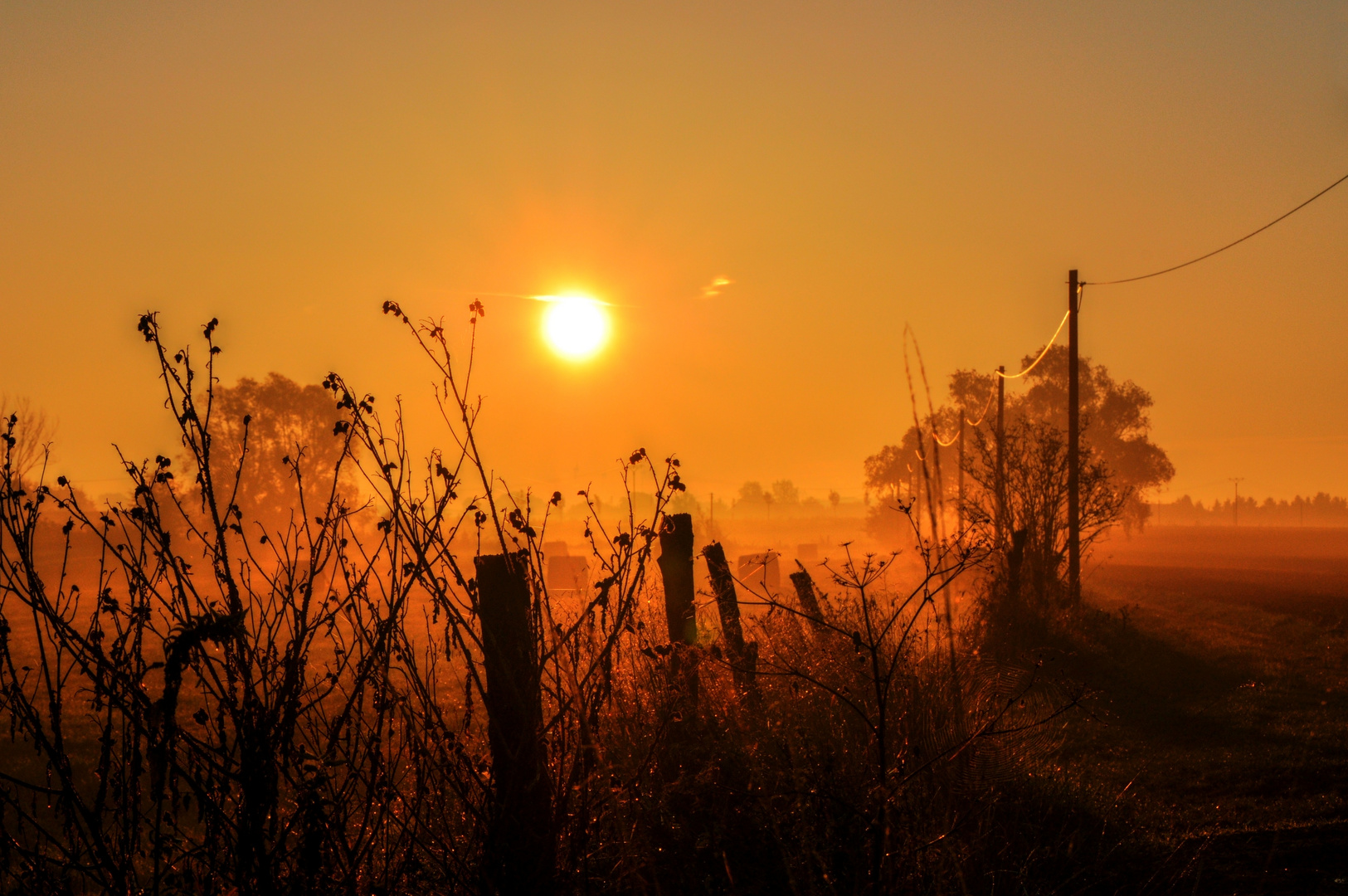 Morgens zwischen Fläming und Magdeburg..