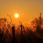 Morgens zwischen Fläming und Magdeburg..