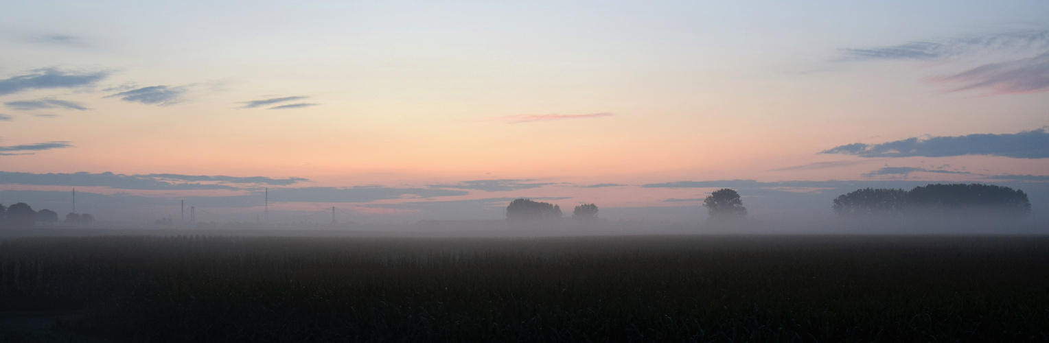 Morgens zwischen Kleve und Emmerich