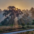 Morgensafari in den Nationalpark