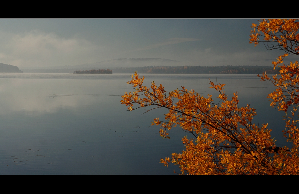 Morgens_am_Kemijärvi