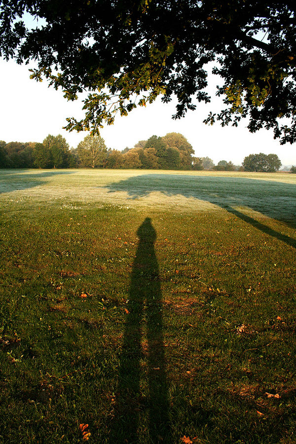 Morgenschatten vom Ich