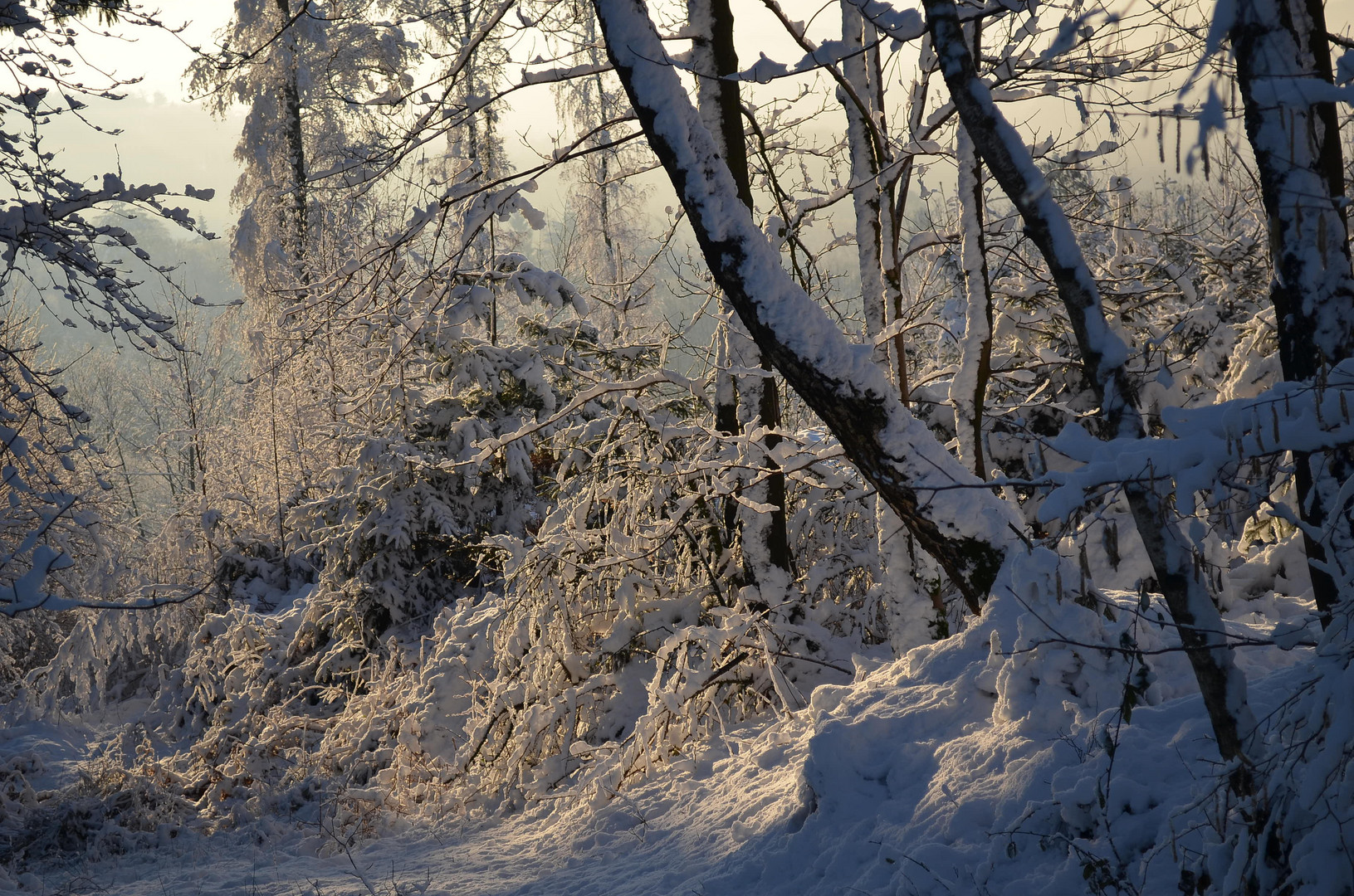 Morgenschnee