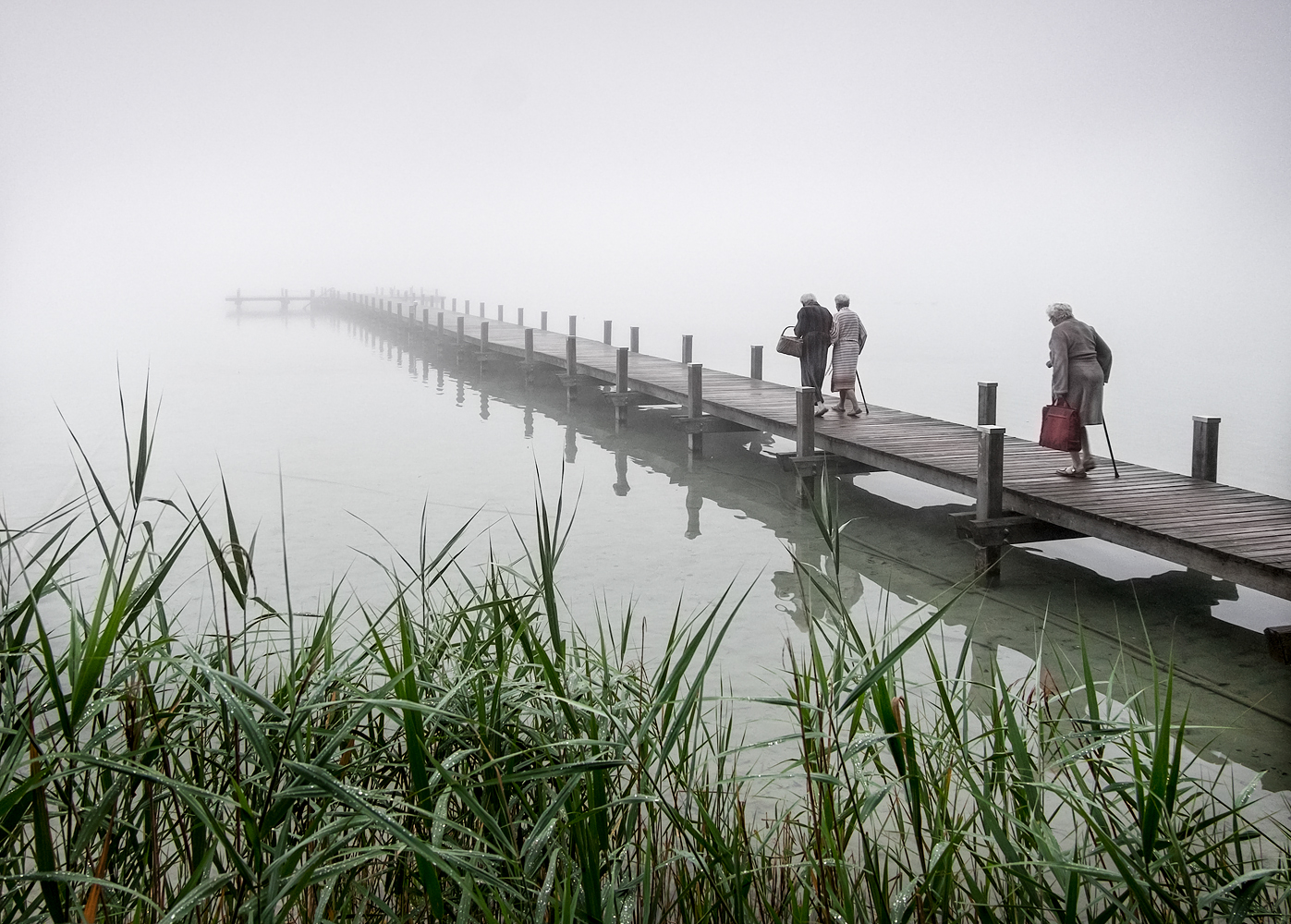 morgenschwimmer ...