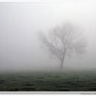 Morgensfrüh, wenn der Tag beginnt und der Nebel noch den Weg verdeckt...