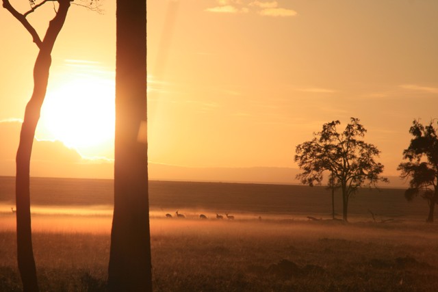 morgens,fünf nach sechs in Kenia