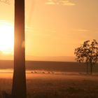 morgens,fünf nach sechs in Kenia