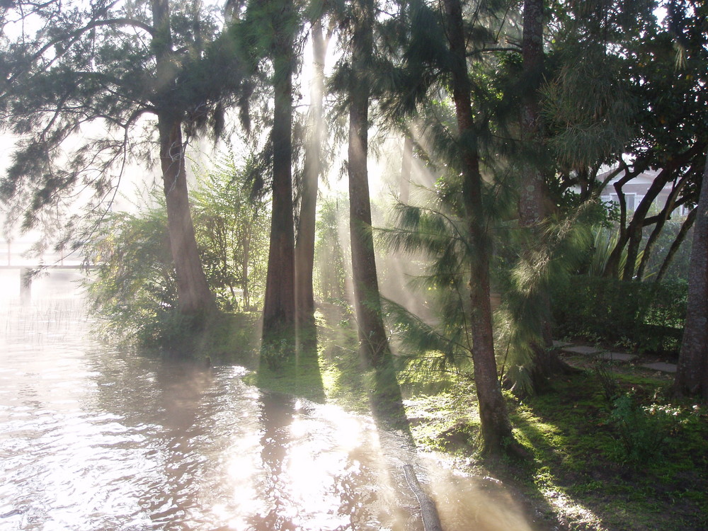 Morgensgespenster im argentinischen Delta